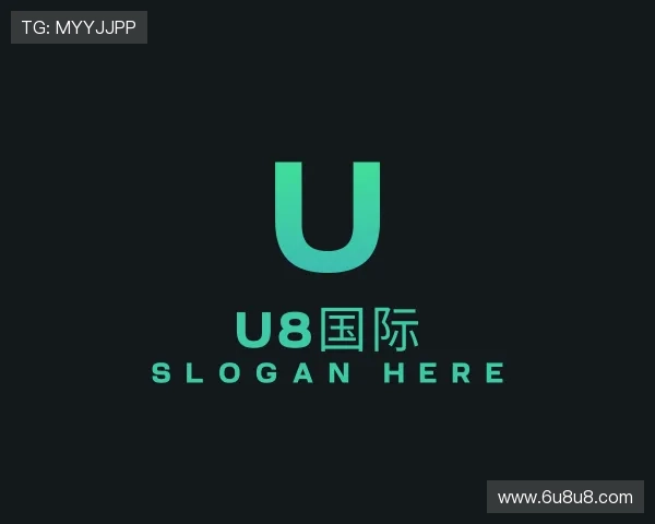 起源U8国际